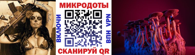 Псилоцибиновые грибы GOLDEN TEACHER  Черепаново 